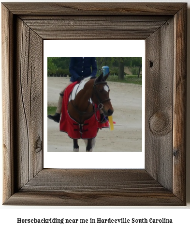 horseback riding near me in Hardeeville, South Carolina